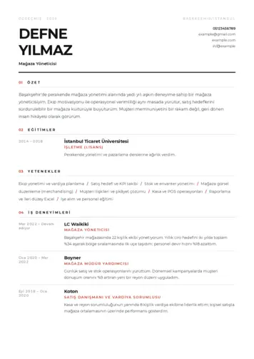 Yönetici CV Örnekleri cv indir